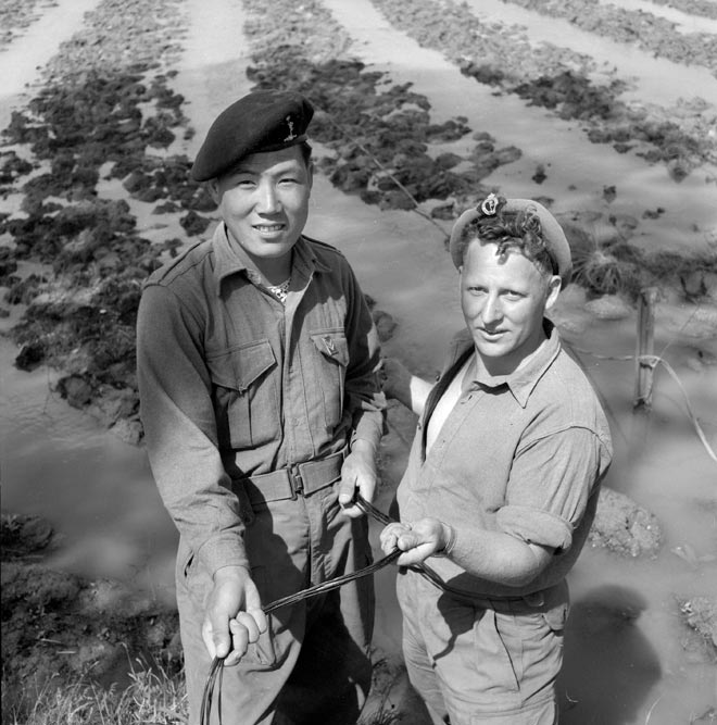 Korean and New Zealand soldiers, Signals Troop, 1953