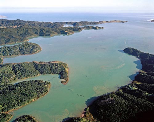 Kāwhia: harbour and inlets from the air