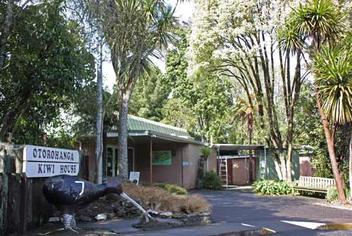 Ōtorohanga Kiwi House and Native Bird Park