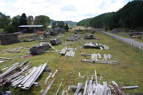 Endean's mill: timber stacks, 2011
