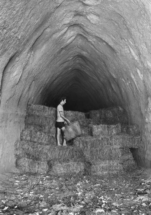 Aukopae tunnel, 1982
