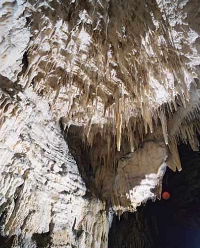 Limestone country: stalactites