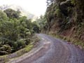 Unsealed road, Whareorino Forest, 2011