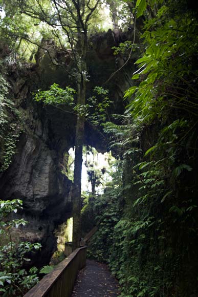 Mangapōhue Natural Bridge, 2011