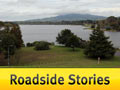 Roadside Stories: Maungatautari, volcanic sanctuary