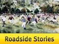 Roadside Stories: Nelson, birthplace of New Zealand rugby