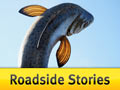 Roadside Stories: Monumental Gore