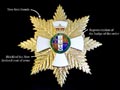 New Zealand design elements: GNZM and PCNZM breast star
