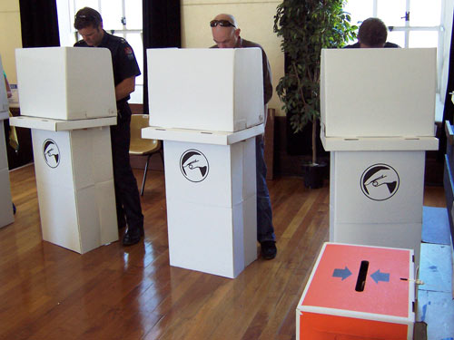 Voting in the 2008 general election