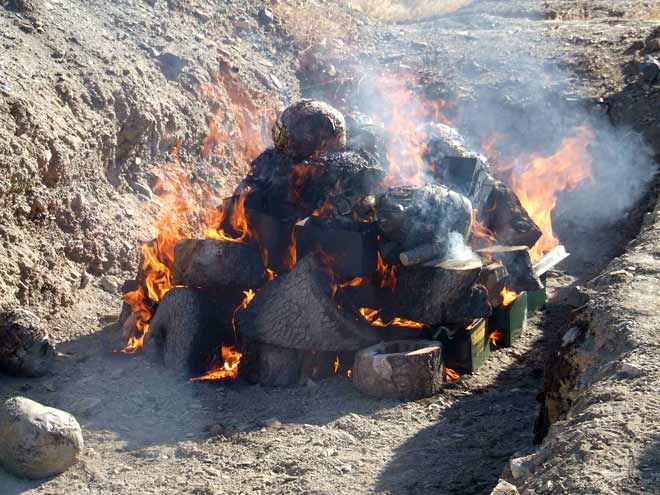 Drug destruction, Afghanistan, 2006