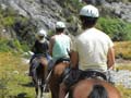 Equestrian activities: horse trekking