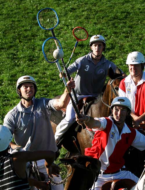 Equestrian activities: polocrosse