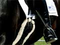 Para-equestrian rider Jenny Affleck on Boss II