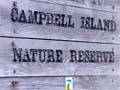 Campbell Island Nature Reserve