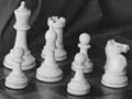 New Zealand chess championships, 1956