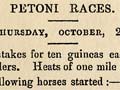 Report on a race meeting