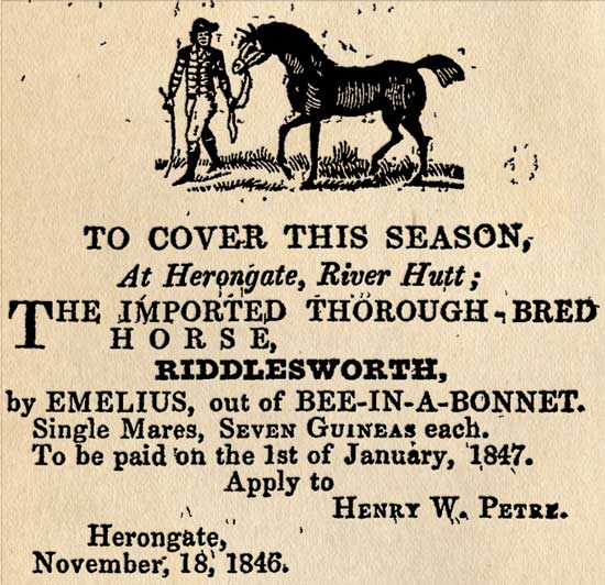 Early horse breeding industry
