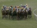 Melbourne Cup: Kiwi wins in 1983