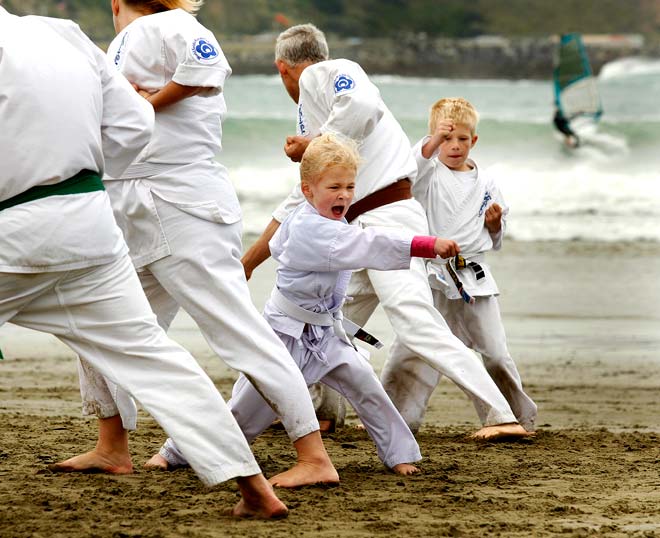 Seido karate, 2010