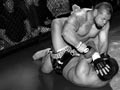 Cage fighting, 2007