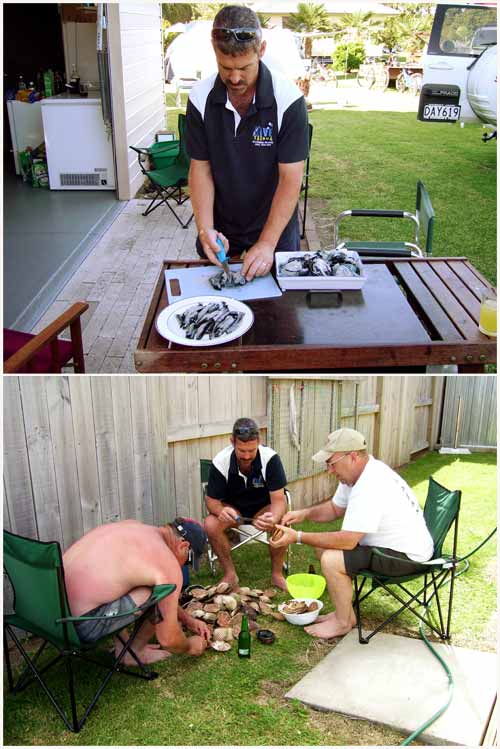 Preparing scallops and pāua