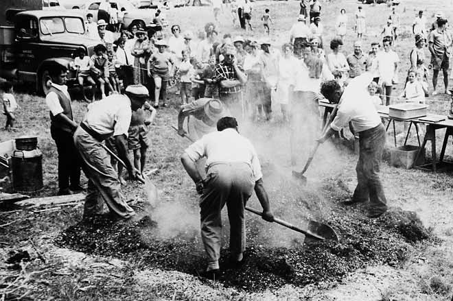 Hāngī at the Manukau City Council staff picnic, 1965