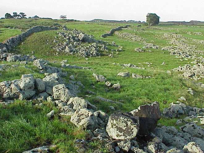 Remains of 15th-century gardens