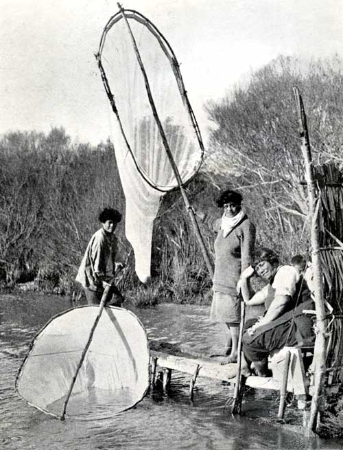 Fishing for whitebait, 1929