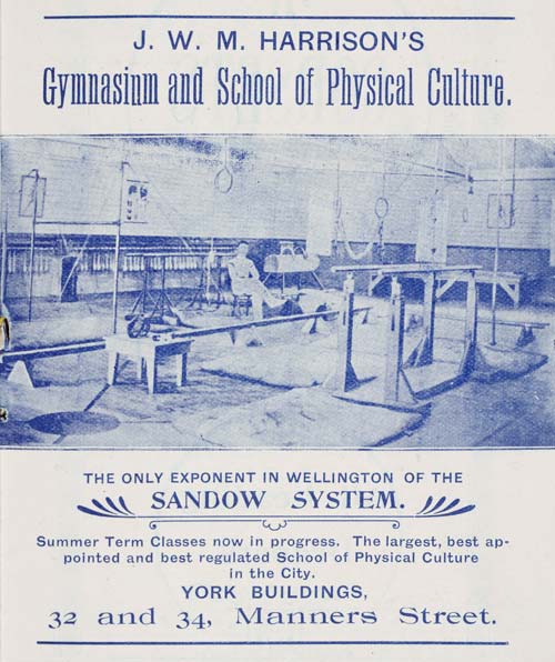 The Sandow system