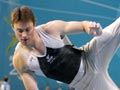 Men's artistic gymnastics, 2006