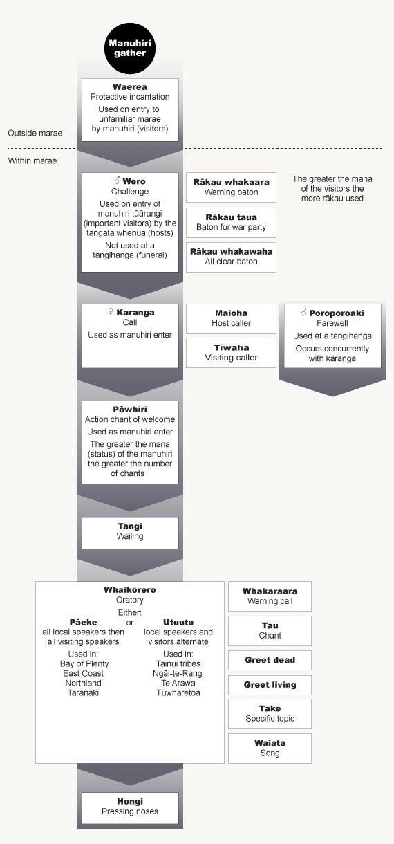 Structure of pōwhiri