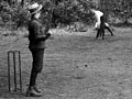 Cricket in the Domain, 1901