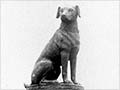 English anti-vivisection campaigns: brown dog statue