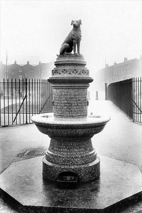 English anti-vivisection campaigns: brown dog statue