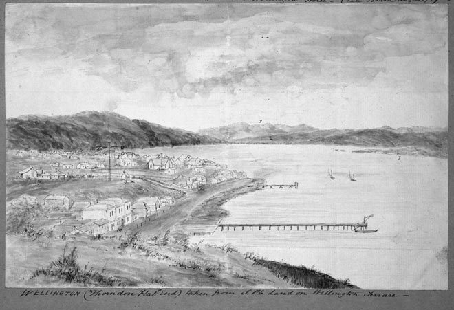 Wellington in the 1850s