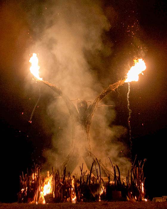 Burning the man, Kiwiburn, 2014