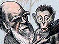 Darwin as a monkey 