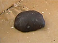 The Ellerslie meteorite