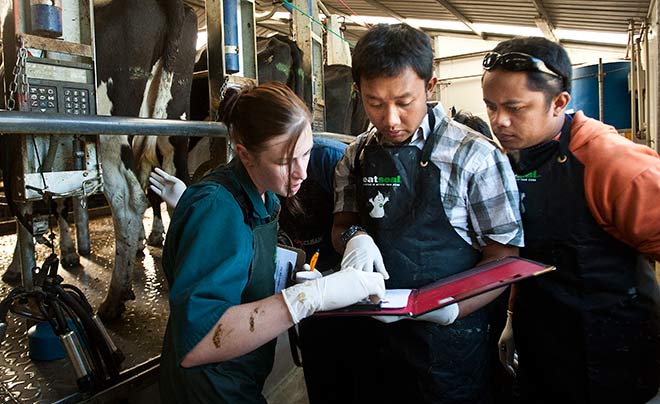 Studying dairy farming