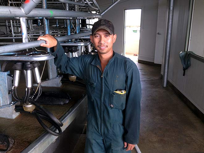 Dairy worker Harvey Cabug, 2015