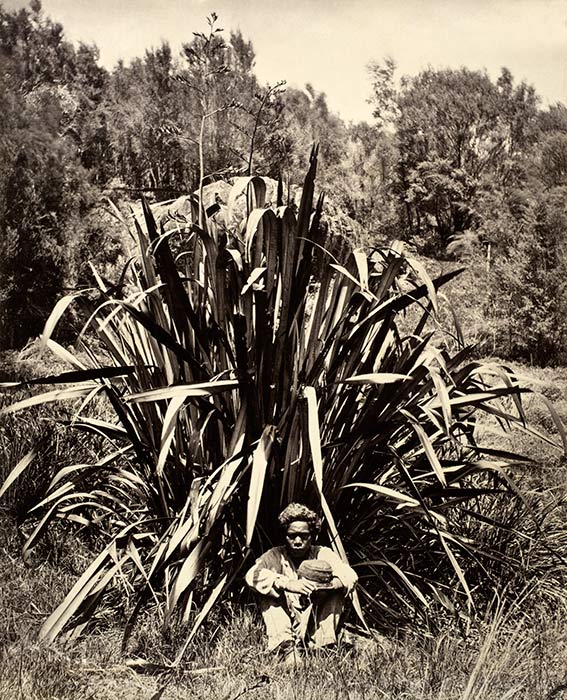 Flax worker from the New Hebrides