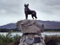 The sheepdog memorial, Lake Tekapo