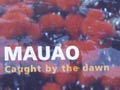 The naming of Mt Maunganui