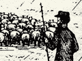 Sheep farmer’s camp, 1874