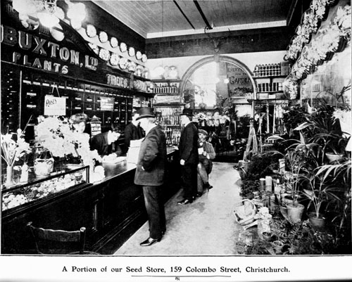 Alfred William Buxton's seed store in Christchurch, about 1907