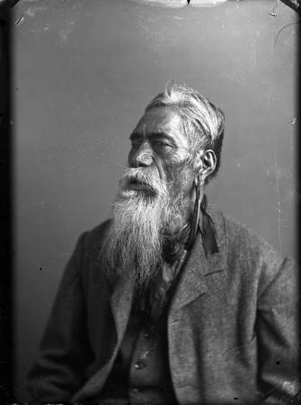 Rēnata Tama-ki-Hikurangi Kawepō, 1880s