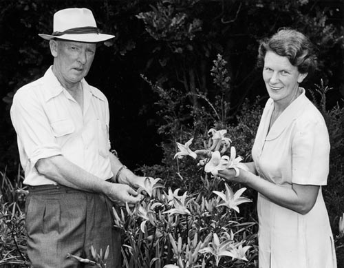 Jim Matthews and his wife Barbara Matthews examine daylillies, 1953