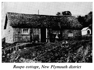 Raupo cottage, New Plymouth district