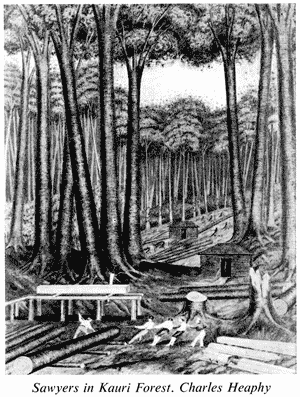 'Sawyers in Kauri Forest', Charles Heaphy
