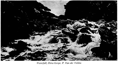'Waterfall, Otira Gorge', P. Van der Velden